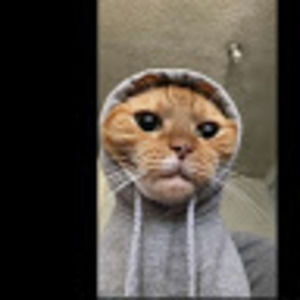 Meet your Posher, Madison schultz